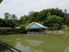 -桃园美食(水库路店)