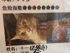 -逃脱反斗城沉浸剧情密室(北京路店)