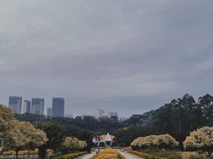 -南沙蒲洲花园