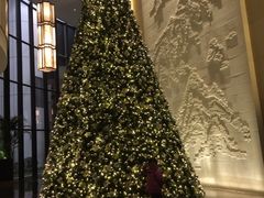 高大的圣诞树-南京金陵饭店