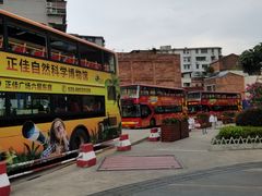 -广州都市观光巴士(粤陶巴)