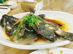 石斑鱼-众味海鲜大排档·活海鲜·潮汕味(南澳店)