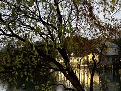 -新荣记(西溪湿地店)