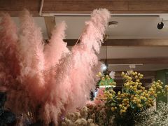 -春暖花开(西溪店)