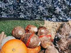 -老阿爸江浙土菜(奥体中心店)