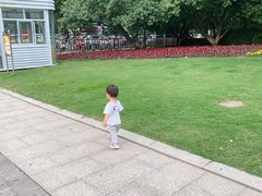 -荆川公园
