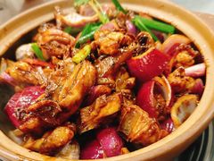-胡须佬鸡煲四季火锅店(石厦西村直营店)