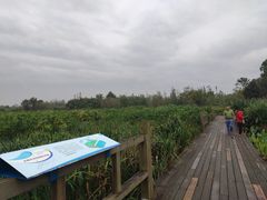 -白鹭湾湿地公园