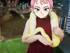 -清迈夜间动物园