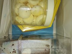 -味多美蛋糕(杨闸环岛店)