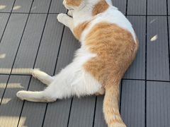 -前叁門