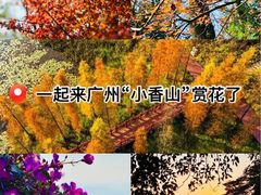 -广州市石门国家森林公园