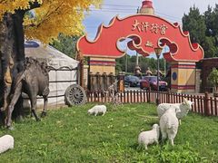 -大汗行宫园林餐厅