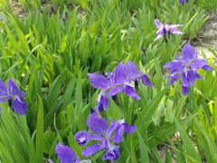 -天津东丽湖风景区