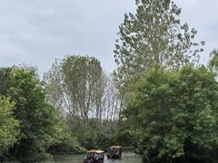 -溱湖国家湿地公园