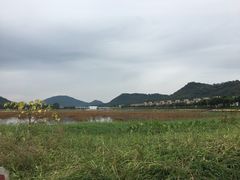-艾米稻香小镇