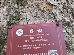 -普陀山雷迪森庄园