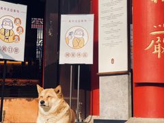 -灵谷景区