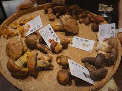 -滇野云南野生菌餐厅(陕西南路店)