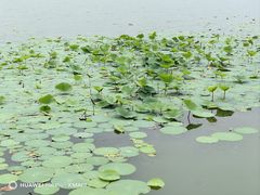 -南海子公园