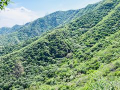 -北京鹫峰国家森林公园