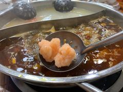 -肥婆麻辣火锅.顺德首创药材麻辣火锅(容桂店)
