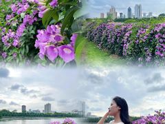 -南宁南湖公园