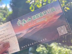 -武陵山森林公园