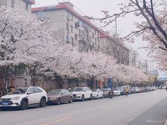 -永乐路-路侧停车场