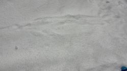 -Mr·Kuma酷么先生雪之乐园