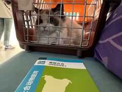 -美联众合动物医院·24h京西诊疗中心