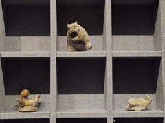 -四川大学博物馆