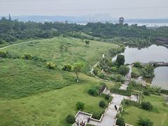 -张坝桂圆林公园