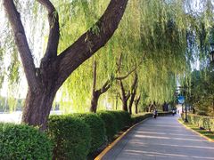 -西安汉城湖景区