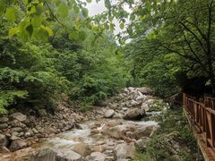 -青峰峡国家森林公园