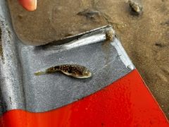 -东戴河风景区-止锚湾