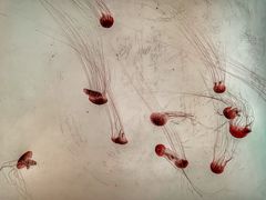 -沈阳海洋探索中心