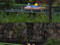 -龙井峡漂流