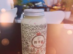 -野萃山·潮汕厚果汁(十亩地店)