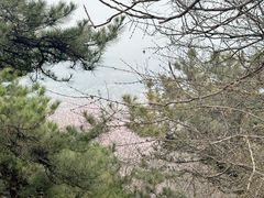 -香山公园