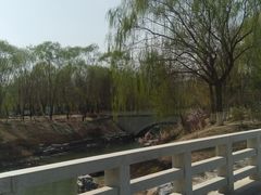 -大兴滨河森林公园