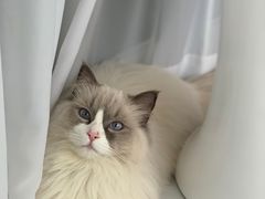 -一间摄影工作室(天安云谷店)