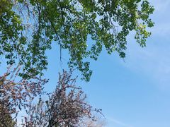 -海棠花溪(元大都城垣遗址公园)