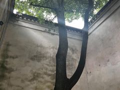 -乌镇东栅景区