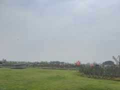 -空港花田景区