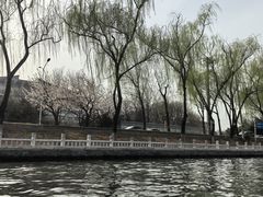-皇家御河游(紫御湾码头)