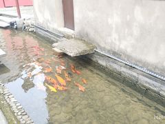 -前童古镇