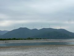 -盐洲岛