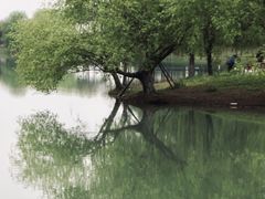 -贡湖湾湿地公园