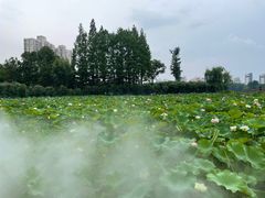 -黄兴公园
